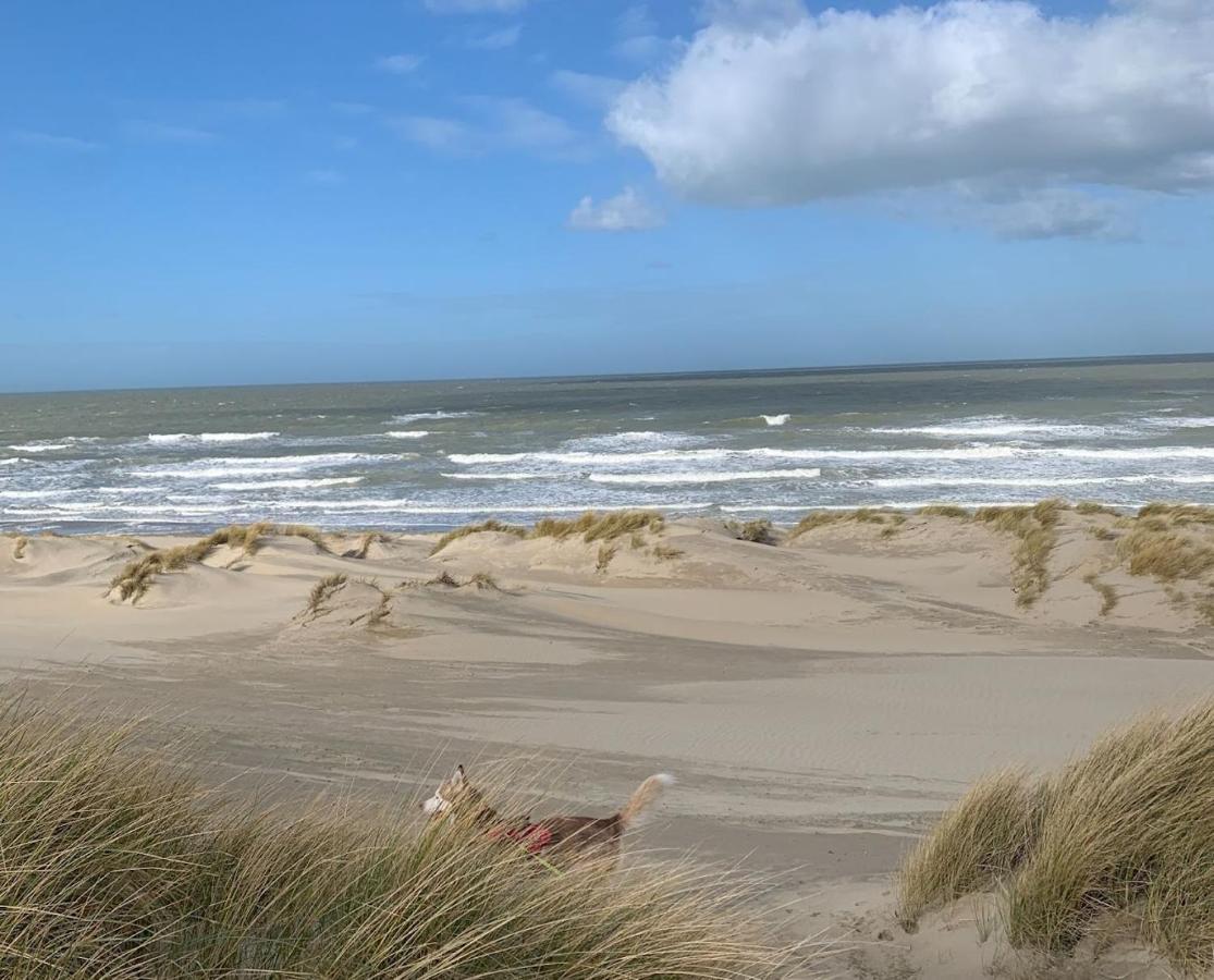 Moderne Studio Aan Het Strand In Oostduinkerke-Bad Koksijde Esterno foto